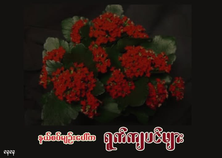 နယ်စပ်မျဉ်းပေါ်က ရွက်ကျပင်များ