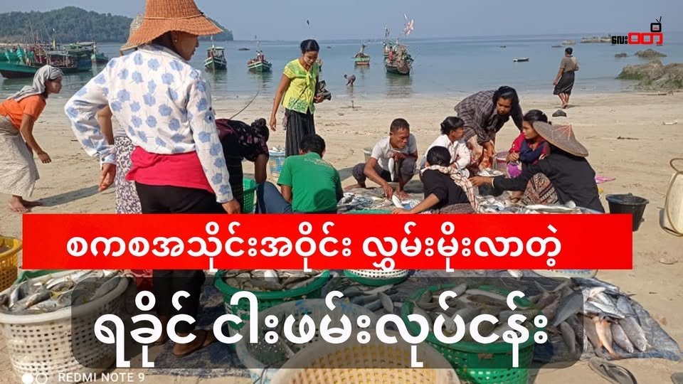 စကစ အသိုင်းအဝိုင်း လွှမ်းမိုးလာတဲ့ ရခိုင်ငါးဖမ်းလုပ်ငန်း