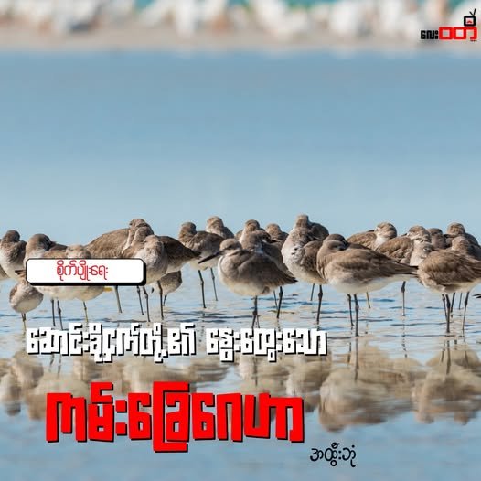 ဆောင်းခိုငှက်တို့၏ နွေးထွေးသော ကမ်းခြေဂေဟာ