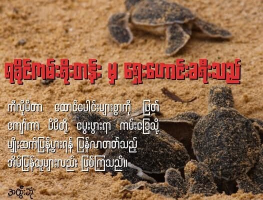 ရခိုင်ကမ်းရိုးတန်း မှ ရှေးဟောင်းခရီးသည်